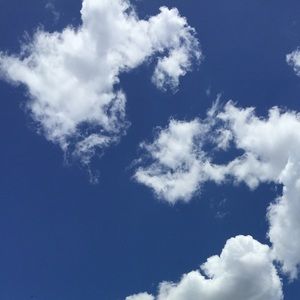 Meet your Posher, Natalia